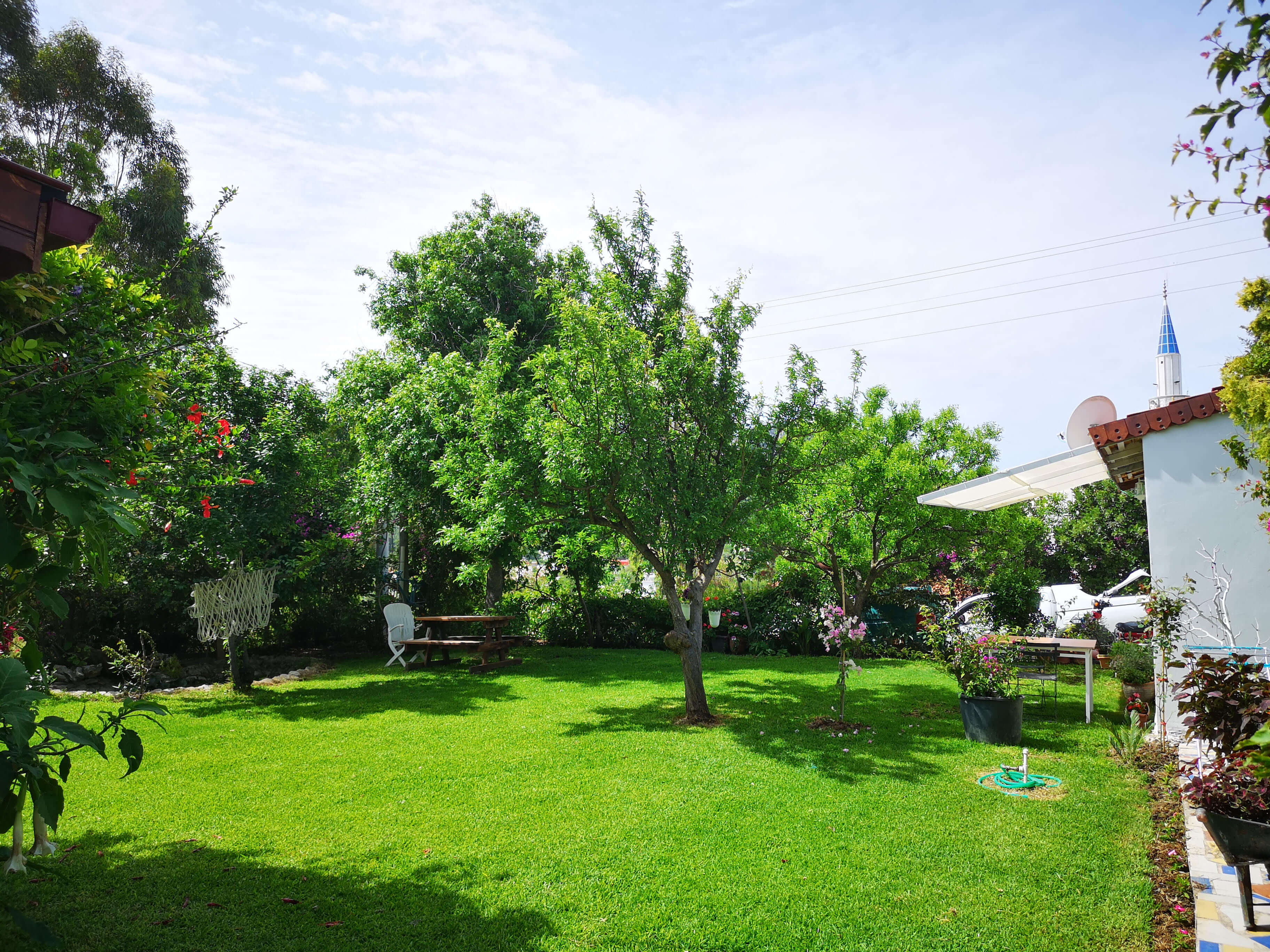 Sardunya oda fotoğrafı