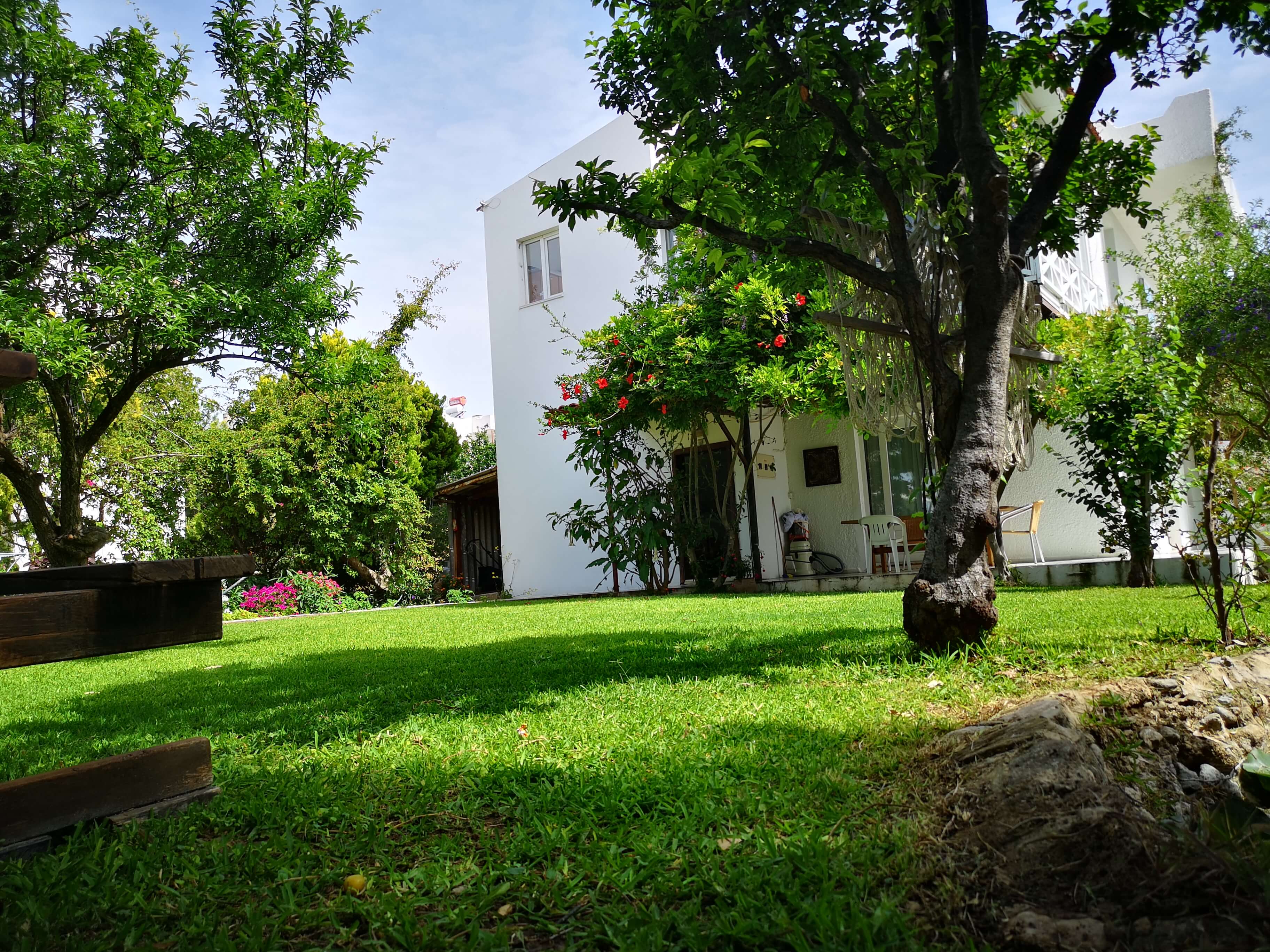 Sardunya oda fotoğrafı